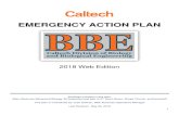EMERGENCY ACTION PLAN - Amazon S3...Emergency Action Plan (EAP): prepared by each campus department/division, the EAP is specific to each work area and outlines various emergency responsibilities