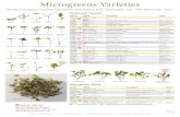Microgreens Varieties...4112M NEW Kale, KX-1 Glossy, serrated red leaves. Mild 363MG J Kale, Red Russian Medium green leaves, bright purple stems and leaf margins. Mild 363M 2123MG