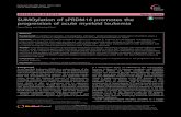 SUMOylation of sPRDM16 promotes the progression of ......phosphorylation [2], acetylation [3], ubiquitination [4] and SUMOylation [5, 6], plays a critical role in the initiation, progression