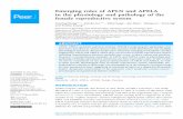 Emerging roles of APLN and APELA in the physiology and pathology of the female ... · 2020. 11. 11. · ‘APELA’ and ‘female reproduction’, articles extracted were summarized