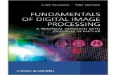 Fundamentals of Digital Image Processing · 2018. 1. 25. · image processing and pattern recognition drawing on speciﬁc examples from within science, medicine and electronics Provided