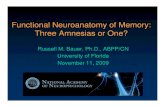 Functional Neuroanatomy of Memory: Three Amnesias or …Functional Neuroanatomy of Memory: Three Amnesias or One?Three Amnesias or One? Russell M. Bauer, Ph.D., ABPP/CN University