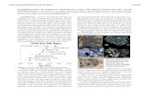 INTERPRETATION OF FERROAN ANORTHOSITE AGES AND … · 2017. 1. 5. · tation crust. LMO modeling suggests that such anor-thosites started to form only after >70% of the LMO had crystallized