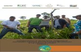 Heifer Nicaragua : Heifer Nicaragua - SYSTEMATIZATION OF TECNOLOGICAL PROMOTION OF ... · 2016. 10. 24. · beef and dairy through sustainable intensification and access to specialized