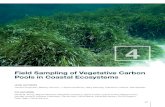 Field Sampling of Vegetative Carbon Pools in Coastal ...seagrass.fiu.edu › resources › publications › Reprints...72 4 smaller trees can dominate the stand composition and thus