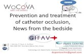 Prevention and treatment of catheter occlusion, News from the … · 2020. 10. 13. · PREVENTION: FLUSHING Hours Continuous flow Continuous injection Push-pause Injection 1 Ml x