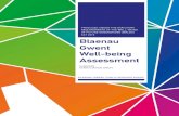Blaenau Gwent€¦ · 5 The Blaenau Gwent’s Black and Ethnic Minority population in 2011 was just under 1,900. However, the number had increased from 1,300 in 2001.