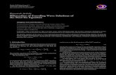 Research Article Bifurcation of Traveling Wave Solutions of the … · 2019. 7. 31. · traveling wave solutions, we will investigate the bifurcations of phase portraits of these