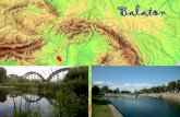 Balaton - vakbottyangimnazium.huvakbottyangimnazium.hu/managed_files/Comenius_tehetsegpont/La… · •Lake Balaton was formed mainly by tectonic forces 12 000 - 20 000 years ago