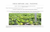 Technical Note 67: Cover Crops for the Intermountain West...triticale is helpful in mitigating the effects of phosphorous applied in manures and compost. Triticale can also be used