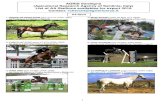 AGRIS Sardegna (Agicultural Research Agency of Sardinia ...angloarabhorses.com/wp-content/uploads/2016/06/Stallions-Italy.pdf · AGRIS Sardegna (Agicultural Research Agency of Sardinia,