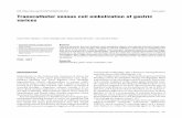 Transcatheter venous coil eoliation o gastric varices › pdf › rcg › v34n3 › en_0120-9957-rcg-34-03-00307.pdftal after two episodes of hematemesis. Upper endoscopy found four
