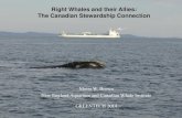 Right Whales and their Allies: The Canadian Stewardship ... · • 2003 and 2006 – two more right whale mortalities • Roseway Basin: no shipping lanes • Considered speed reduction,