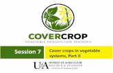 Session 7 - uaex.edu...Session 7 Cover crops in vegetable systems, Part II Outline –Examples of how cover crops can impact vegetable crop production: yields, weed control and pests.