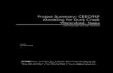 Project Summary: CEEOT-LP Modeling for Duck Creek …tiaer.tarleton.edu/pdf/PR0206.pdfProject Summary: CEEOT-LP Modeling for Duck Creek Watershed, Texas 2 Acknowledgments ... Fraulene