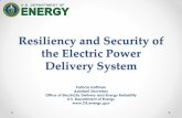 Resiliency and Security of the Electric Power Delivery System...modeling and analytics, and emergency preparedness. ... Development of dynamic systems technology and demand response