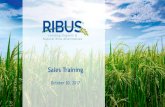 Sales Training - RIBUS...•Oil in Water Systems •High HLB Hydration Aid Bakery 13 10/20/2017 Product Overview 14 10/20/2017 Applications: Extrusion Cereal –Puffs, Flakes, Shapes