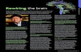 Rewiring the brain - Scripps Research · In the 1990’s Chun’s team identiﬁ ed programmed cell death occurring in proliferating populations of the embryonic brain – a novel