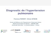 Diagnostic algorithm of pulmonary hypertensiondes-pneumo.org/wp-content/uploads/2018/04/2._algorithme...2018/04/02  · NYHA FC at follow up is the strongest prognostic factor in PAH…