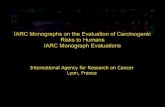 IARC Monographs on the Evaluation of Carcinogenic Risks ......Evaluating experimental animal data (Subgroup 3) Cancer in experimental animals — Preamble Part B, Section 6(b) Causal