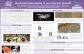 BRAIN MICROVASCULATURE OF CAFETERIA DIET-FED RATS · 2016. 1. 5. · human “Westerndiet”. The CAF ... standard diet (SD) and their brain vasculature was studied. Analysis included