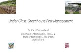 Under Glass: Greenhouse Pest Management · 2014. 4. 4. · Azatrol, Neem Azadirachtin, neem Yes Somewhat harmful M-Pede Insecticidal soap Yes Harmless to adults Source: Whiteflies