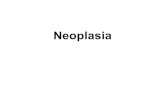 Neoplasia · 2019. 4. 30. · • early detection has led to a dramatic decrease in the ... • Prototypical example: retinoblastoma gene • Sporadic and familial occurrence of rare