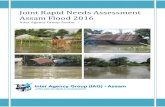 Joint Rapid Needs Assessment Assam Flood 2016 2016. 8. 11.آ  Joint Rapid Needs Assessment Report: Assam