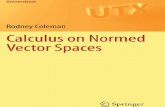 Calculus on Normed Vector Spaces - The Eye on... · 2020. 1. 15. · The aim of this book is to present an introduction to calculus on normed vector spaces at a higher undergraduate