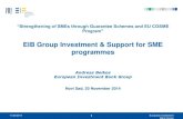 EIB Group Investment & Support for SME programmesEIB.pdfEuropean Investment Bank Group SME financing: A key priority for the EIB SME financing has been reinforced as one of the priority