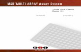 MSD MULTI -ARRAY Assay System - Meso Scale/media/files/product inserts...17276-v7-2011Sep | 2 MSD Biomarker Detection Assays Total p53 Assay Base Kit This package insert must be read