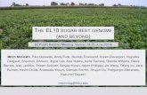 THE EL10 SUGAR BEET GENOME AND BEYOND · 2018. 7. 6. · Why assemble the EL10 sugar beet genome? Improved and ‘affordable’ technology for (a more) contiguous & accurate genome