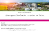 Bioenergy and biorefineries: innovations and futures...Bioenergy and biorefineries: innovations and futures: Introduction into Workshop concept and aims Concept for Small Discussion