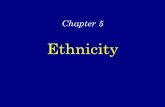 Ethnicity · 2015. 11. 13. · Ethnicity b. Concentration of Ethnicities in Cities 1. African Americans and Hispanics 2. Southern and Eastern Europeans 2. African Americans Migration
