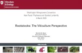 Rootstocks: The Viticulture Perspective · Michelle M. Moyer Associate Professor Viticulture Extension Specialist WSU-IAREC Prosser, WA wine.wsu.edu Rootstocks: The Viticulture Perspective.