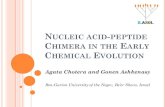 Nucleic-acid-peptide Chimera in the Early Chemical Evolutionfiles7.design-editor.com/29/291858/UploadedFiles/969B670... · 2018. 6. 3. · CHIMERA IN THE EARLY CHEMICAL EVOLUTION
