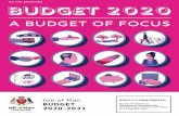 2020-21 Budget A Budget of Focus - Isle of Man Government · 2020. 2. 18. · Isle of Man Budget 2020-21 Budget Summary Position 3 1. INTRODUCTION FROM THE MINISTER - BUDGET REPORT