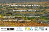 Key Biodiversity Areas in Africabiodiversityadvisor.sanbi.org/wp-content/uploads/2019/01/...2019/01/02  · Key Biodiversity Areas in Africa Biodiversity Planning Forum 2018 1. Daniel
