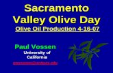 Sacramento Valley Olive Day - UCANR · • Sevillano • Taggiasca Medium • Aglandau •Barnea • Bosana • Bouteillan •Farga • Hojiblanca • Manzanillo Strong • Arbosana