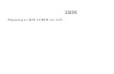 Migrating to IBM COBOL for AIXFILE/Migrating2IBMCOBOLAIX.pdf · 2020. 10. 19. · 6 Migrating to IBM COBOL for AIX According to Standard COBOL 2002, section 8.3.1.1, User-defined