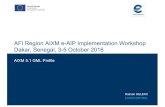 AFI Region AIXM e-AIP Implementation Workshop Dakar ...12 GML Profile AIXM Conceptual Types and the relevant XSD Implementation to document AIXM Conceptual Type AIXM XSD Implementation