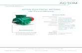 ACTOM ELECTRICAL MOTORS Premium... · S/Speed, 750 r/min, 8 Pole ACTOM ELECTRICAL MOTORS LS6: Premium Efficiency. 1. 3 GENERAL FEATURES :.1 3 phase TEFC Cast Iron at 50Hz, 400V and