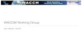 WACCM Working Group - CESM® · 2008. 6. 25. · - Scn2b 1960-2100 - Fixed Halogens No. Other future activities • Validate a “speciﬁed dynamics” version of WACCM for ongoing