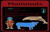 Mammals - cupernhaminfant.com...Mammals visit twinkl.com. Are cold-blooded. Live on land and water. Have moist skin and webbed feet. Have skeletons on the inside of their bodies. Lay