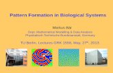 Pattern Formation in Biological Systems - TU Berlin · 2013. 5. 29. · BZ mechanism (FKN) BZ model (Oregonator) Petrov et al., Nature 1997 . 2. Basic Concepts . Linear Stability