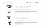 americanplantexchange.com · 2020. 11. 25. · plant dracaena kiwi dragon size: 16-18" water: once per week/ mist 2-3 times light: bright indirect light guide per week brown spots