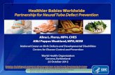 Healthier Babies Worldwide Partnership for Neural Tube Defect … · 2012. 10. 22.  · Healthier Babies Worldwide Partnership for Neural Tube Defect Prevention Alina L. Flores, MPH,