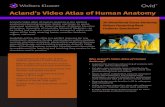 Acland’s Video Atlas of Human Anatomy - Wild Apricot...Available online, this atlas is a perfect resource for any institution’s residents, faculty and students within medical,
