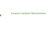 Enzyme Catalytic Mechanisms - كلية الطب · 2020. 1. 22. · •Specificity of Cutting •Common Active Site ... Chymotrypsin N-Acetyl-L-phenylalanine p-nitrophenyl ester p-nitrophenolate