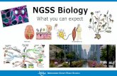 NGSS Biology - Montgomery County Public Schools...Outcomes By the end of this session, we will: • Explain the paradigm shifts in MCPS NGSS Biology, • Explore the breadth and depth